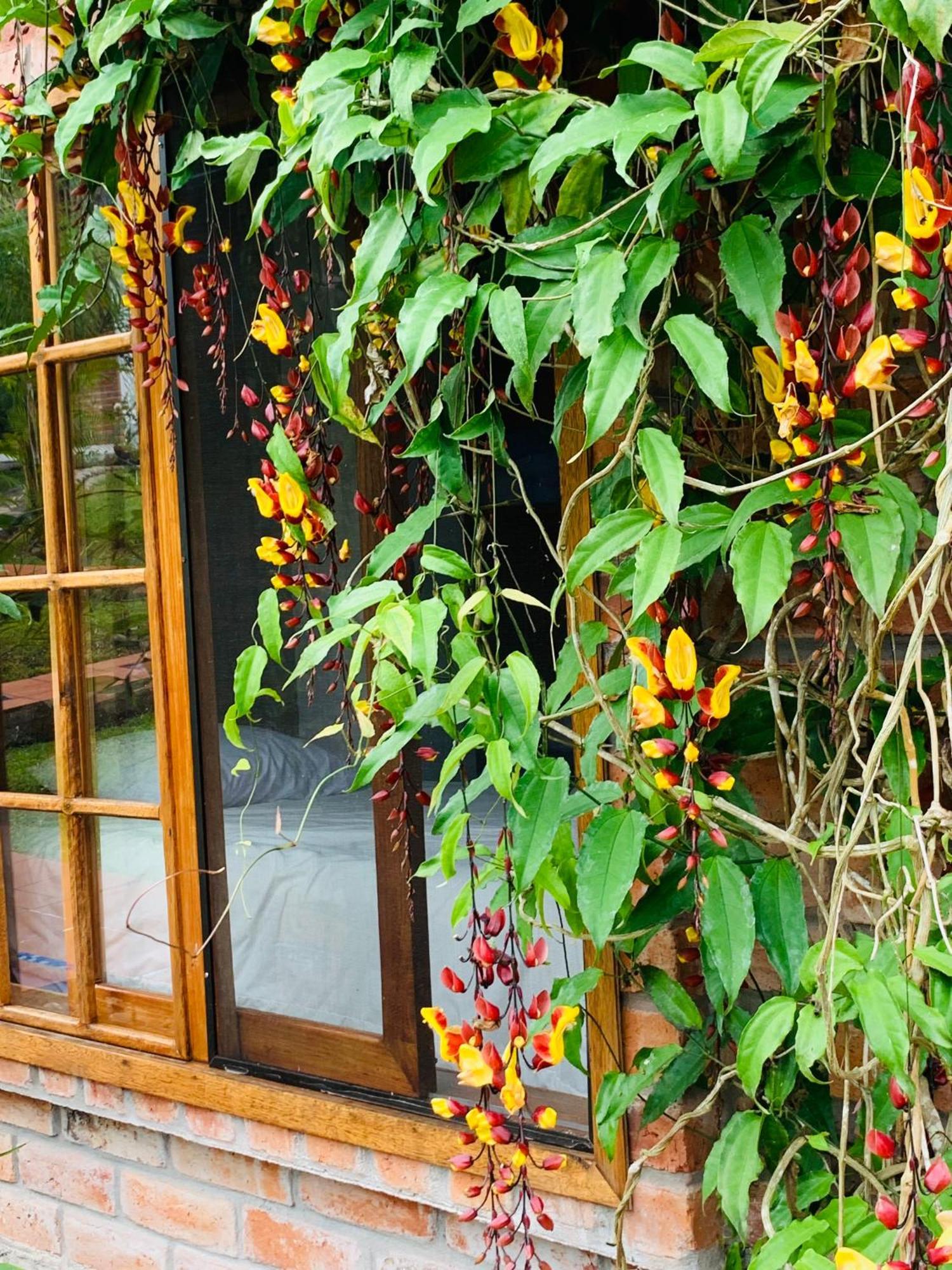 La Casa Del Rio B&B Puyo Exterior photo